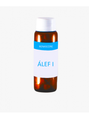 ÁLEF I ÁLEF I