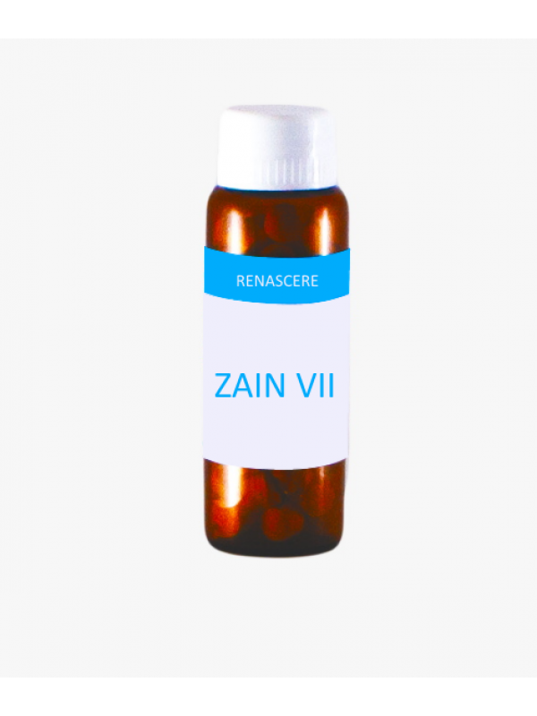 KIT ZAIN VII